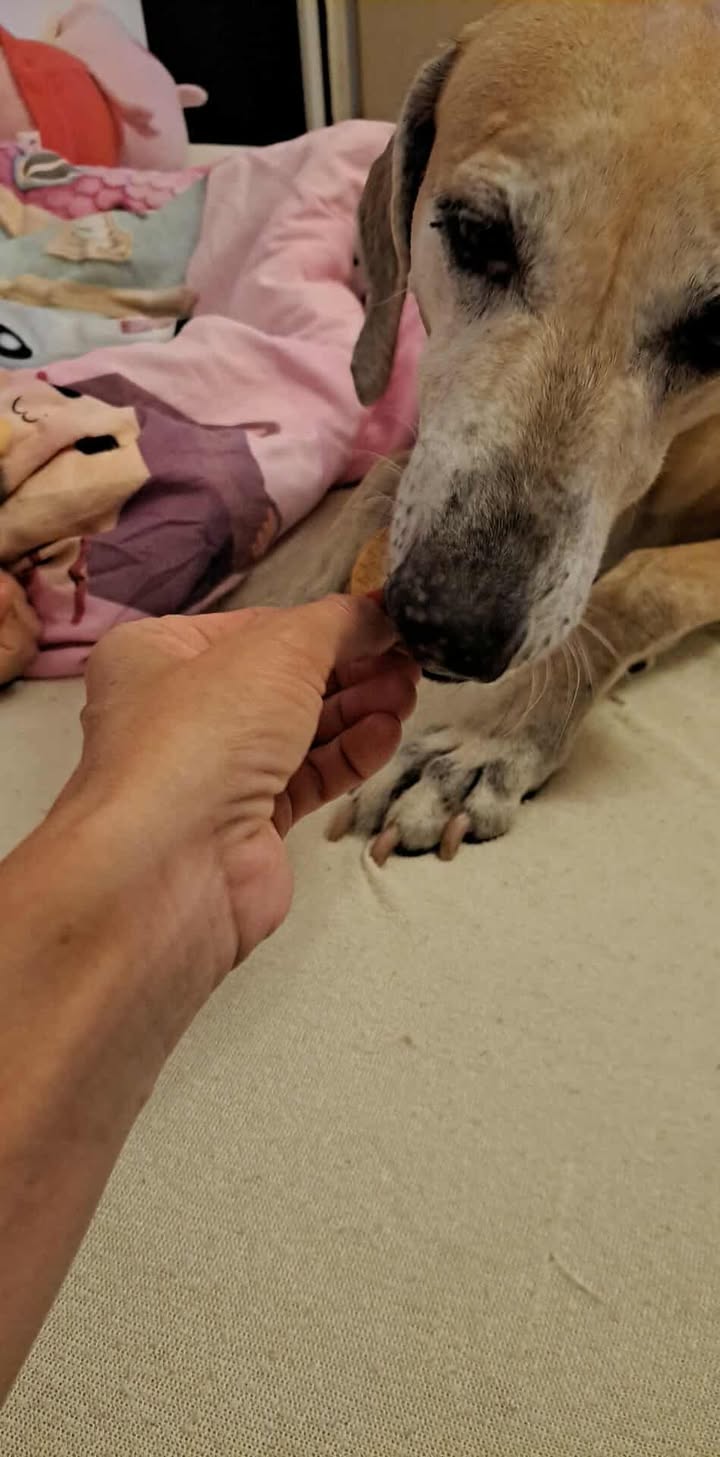 Messenger_creation_1301533274889036