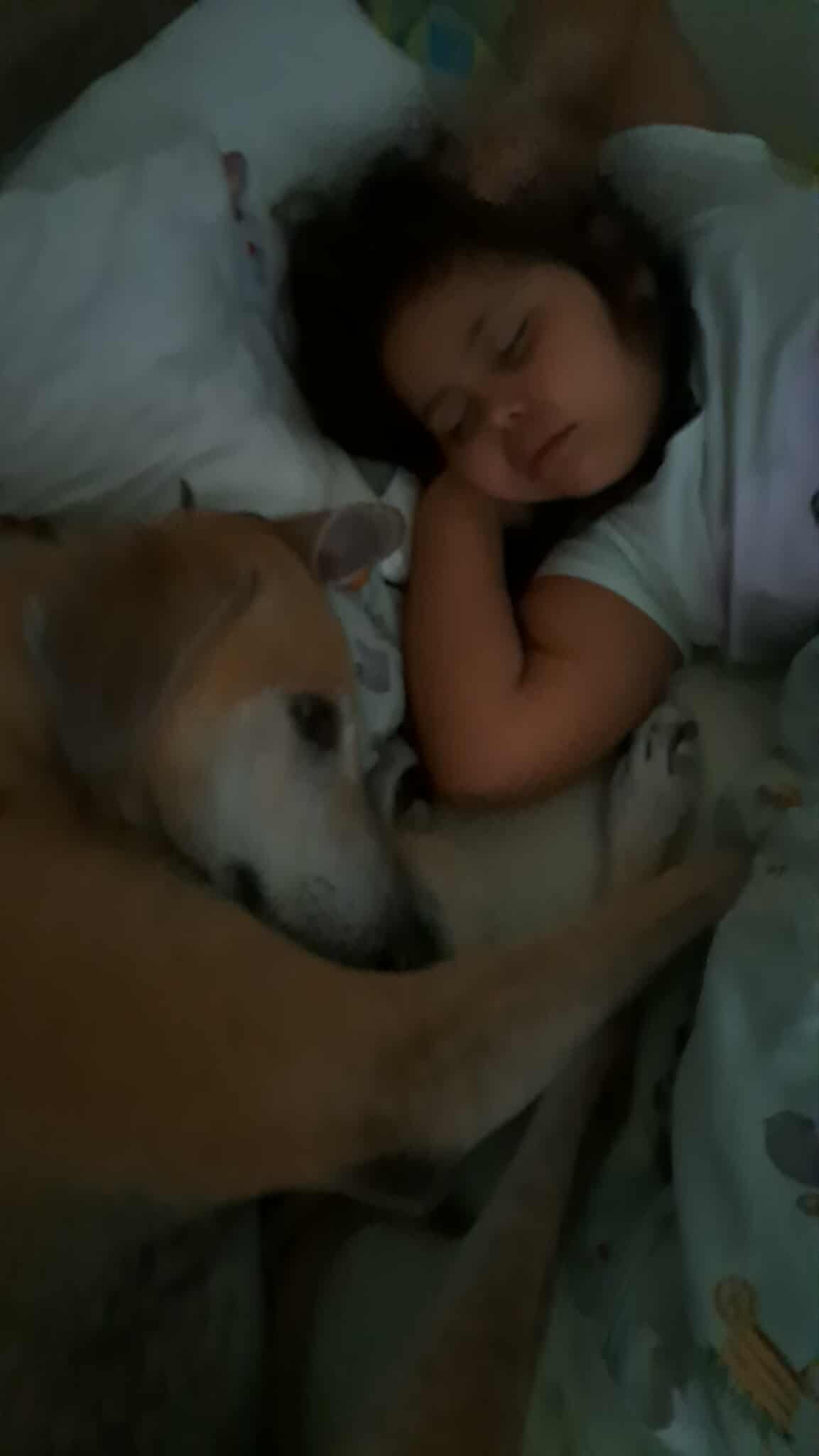 received_775176158644571