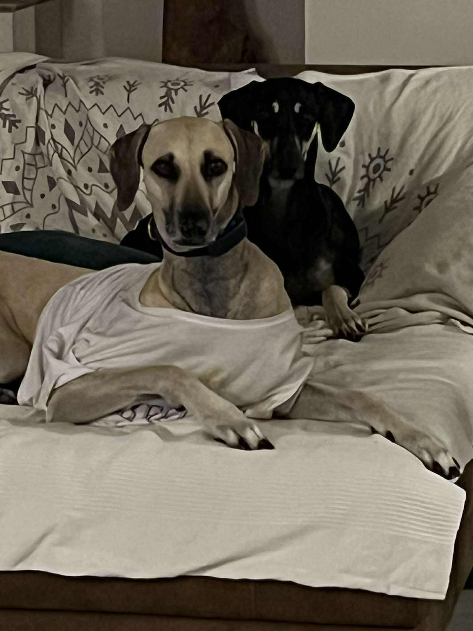 received_1189302343012831