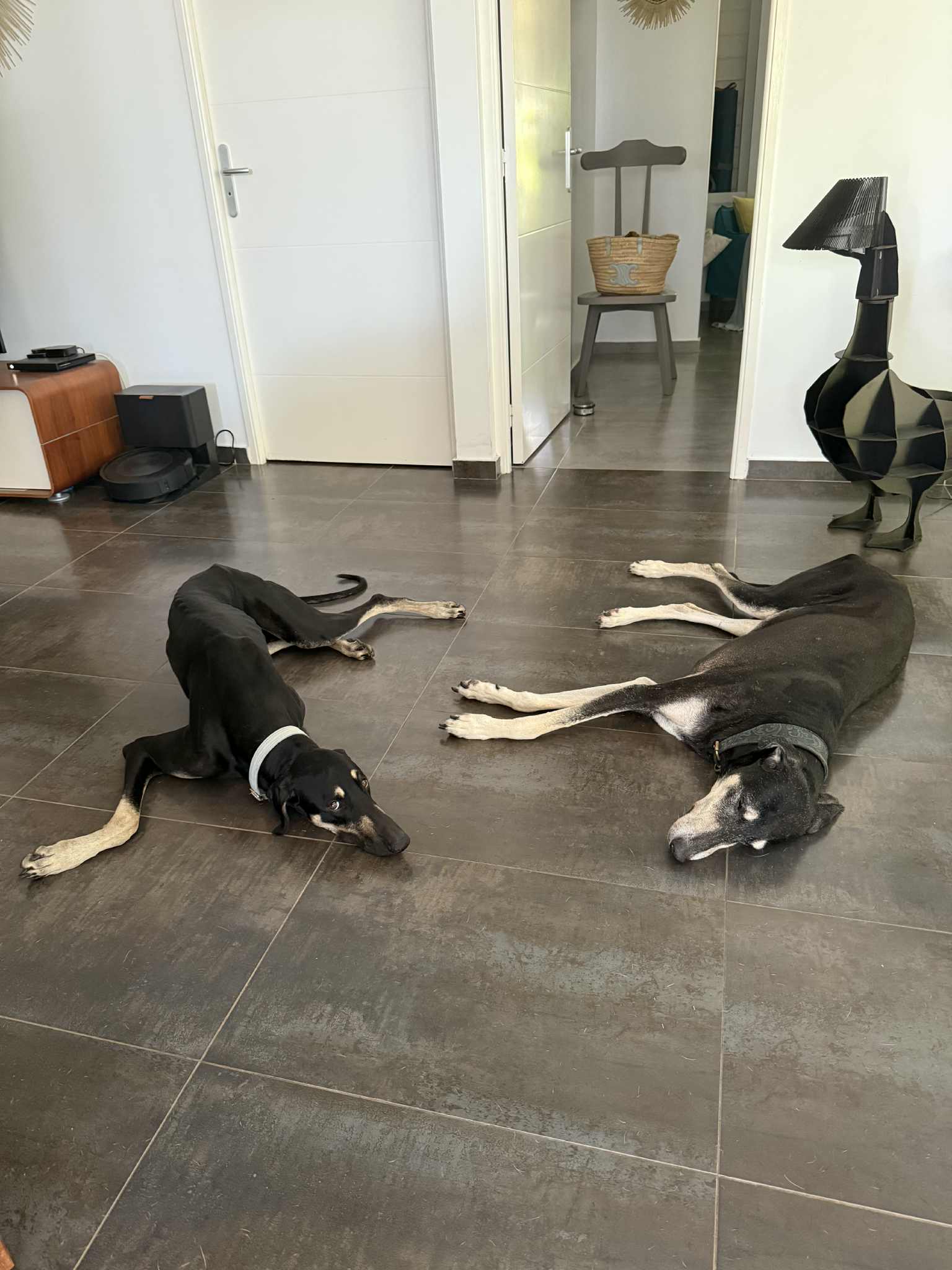 received_32904231925842204