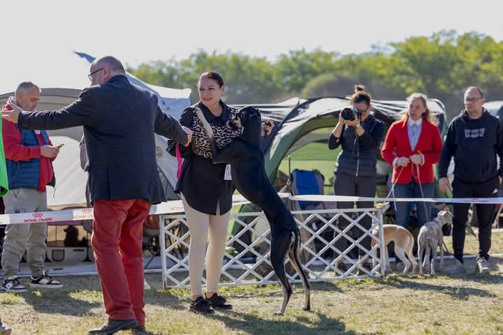 FB_IMG_1759897107795