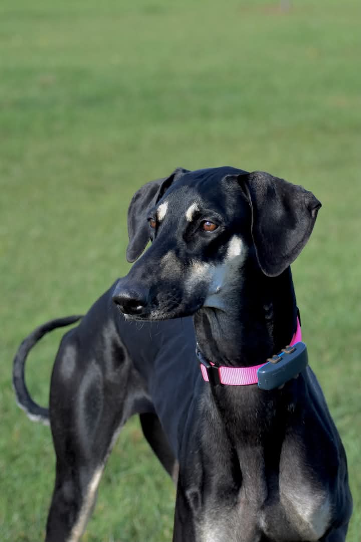 FB_IMG_1760934148914