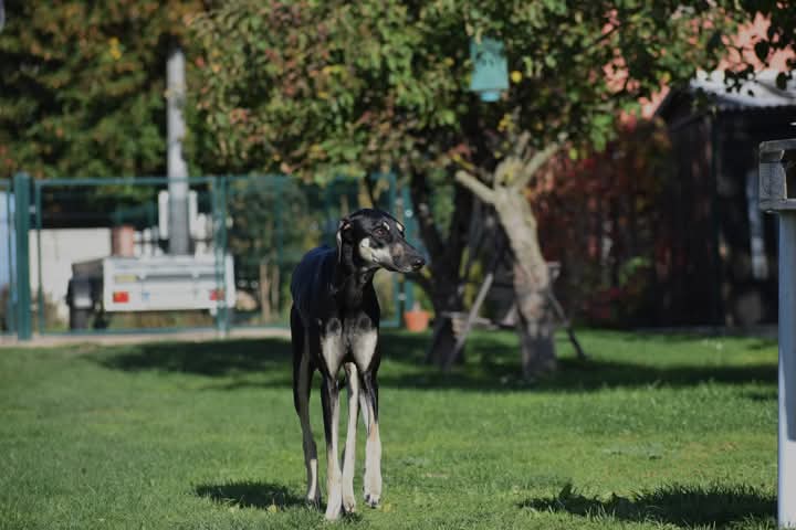 FB_IMG_1760934153533