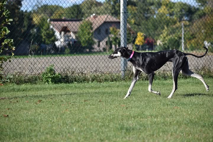 FB_IMG_1760934151340