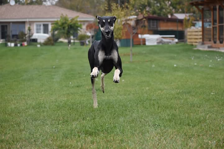 FB_IMG_1760934119155