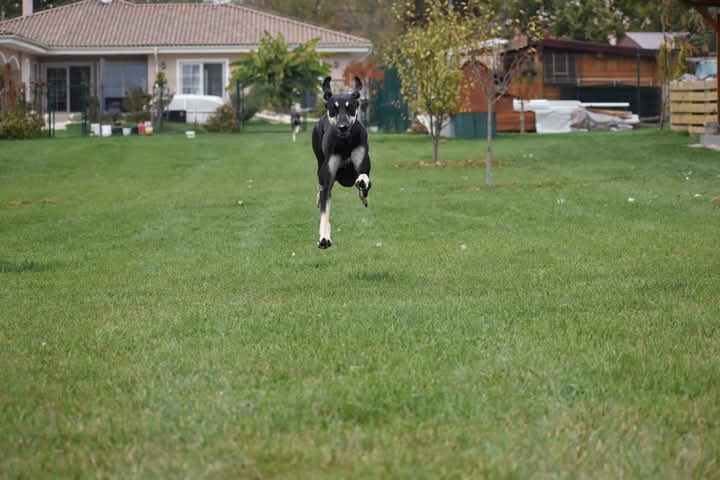 FB_IMG_1760934116883