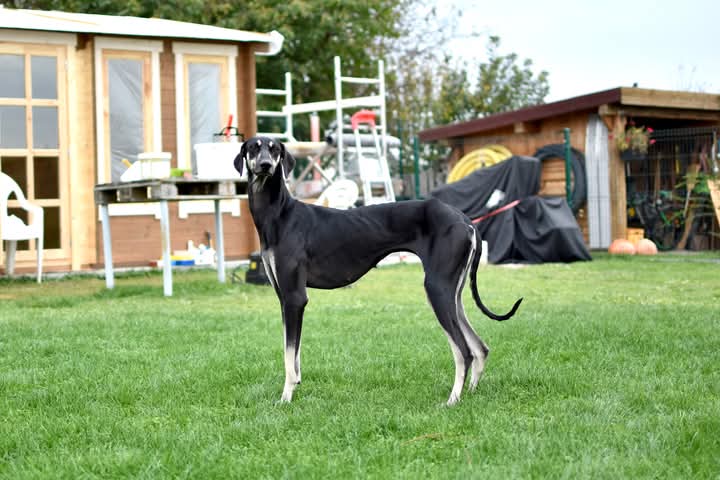 FB_IMG_1760934123859