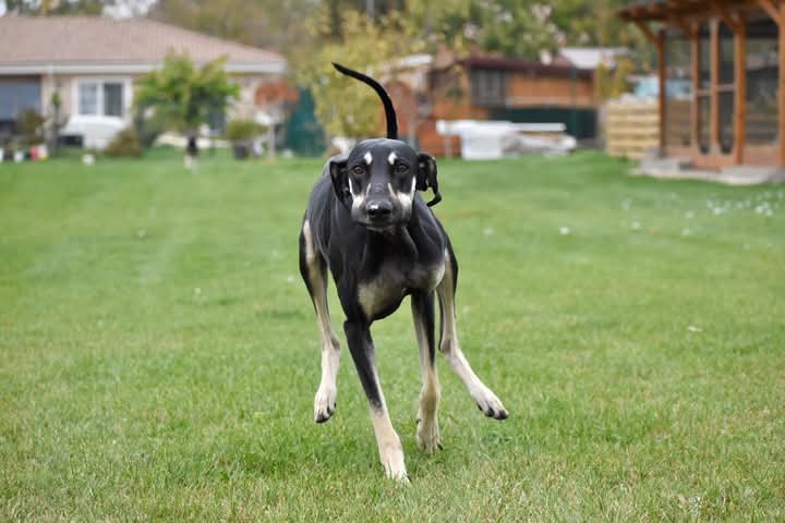 FB_IMG_1760934121403