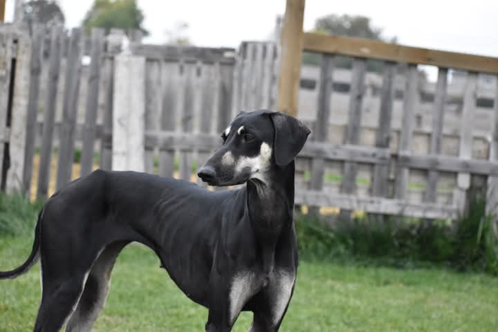 FB_IMG_1760934109281