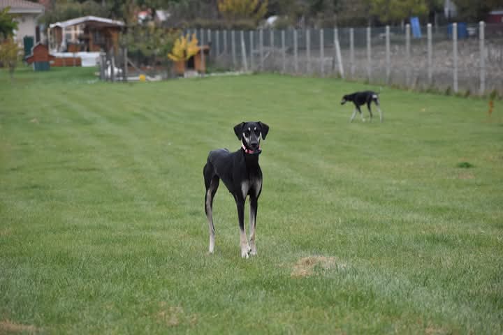 FB_IMG_1760934106789