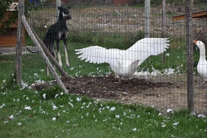 FB_IMG_1760934114435