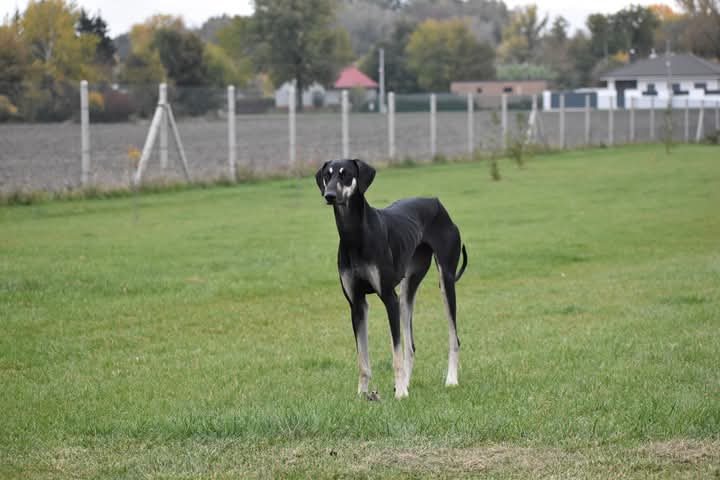 FB_IMG_1760934111541