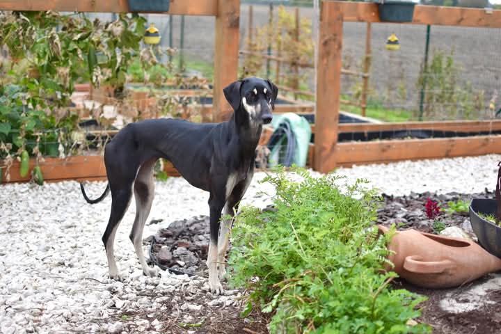 FB_IMG_1760934137788