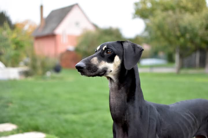 FB_IMG_1760934135546