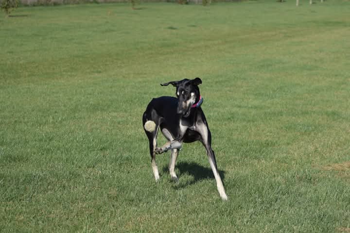 FB_IMG_1760934143144