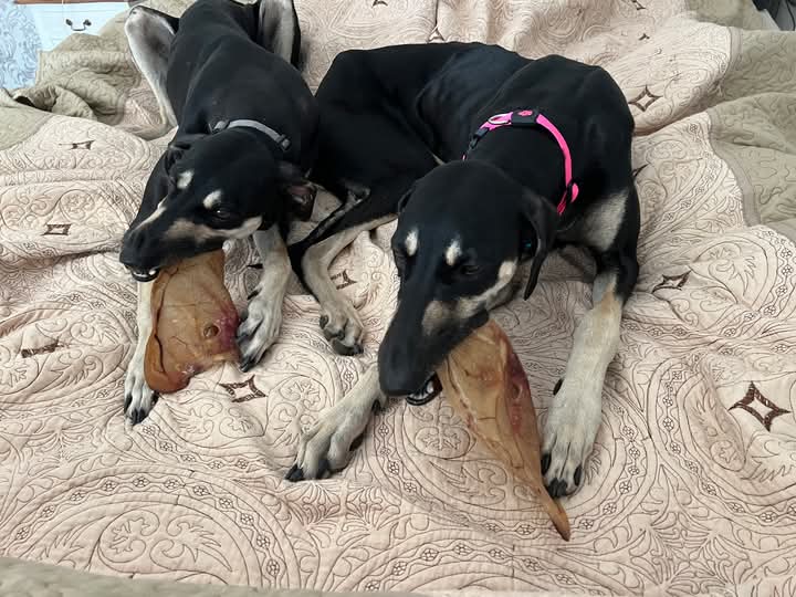 FB_IMG_1760934140352