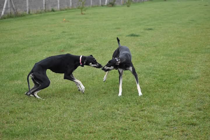 FB_IMG_1760934102349