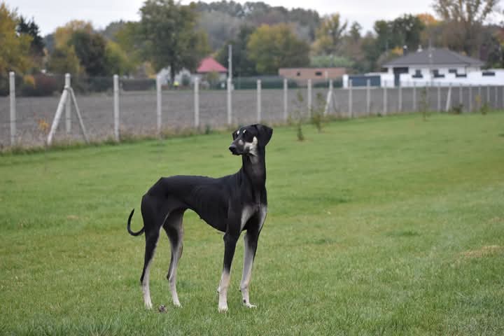 FB_IMG_1760934126274