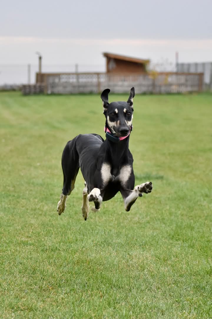 FB_IMG_1760934100088