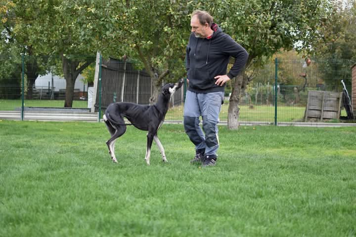 FB_IMG_1760934130896