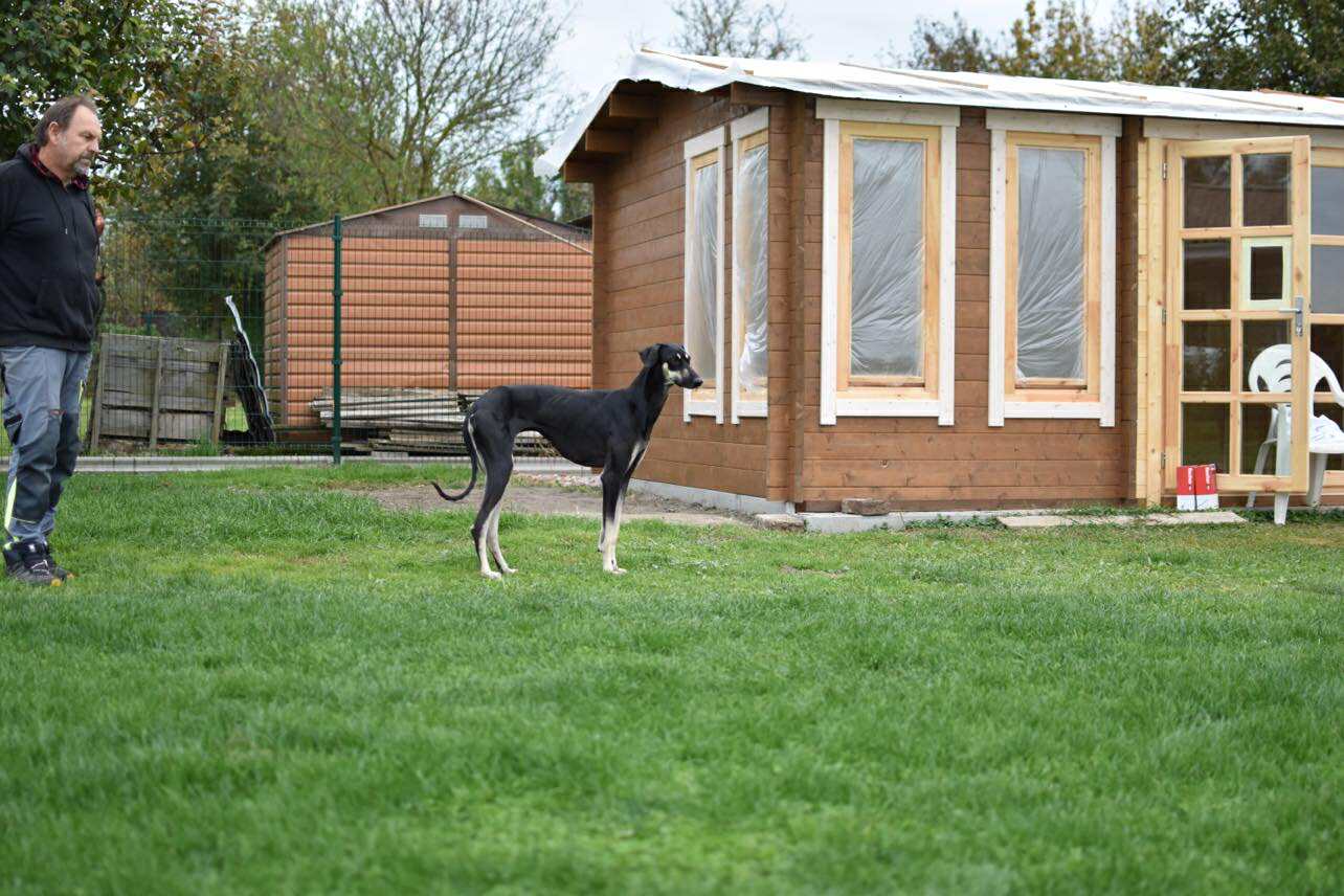 Messenger_creation_2499272227124411