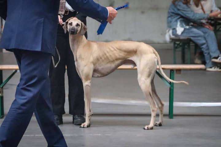 FB_IMG_1760934262317