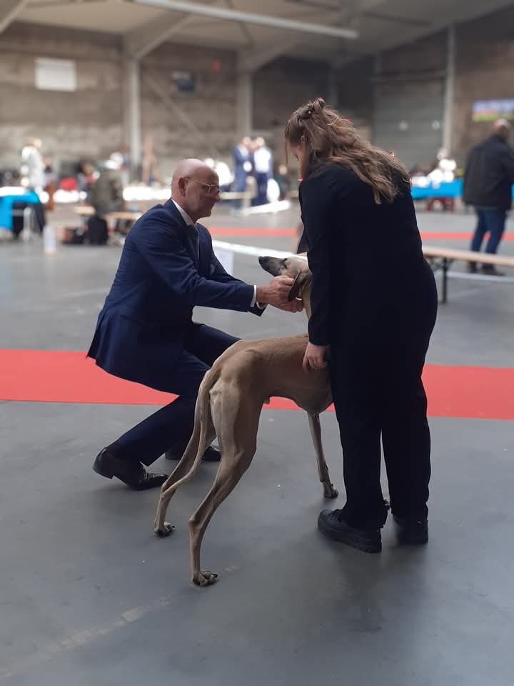 FB_IMG_1760934269166