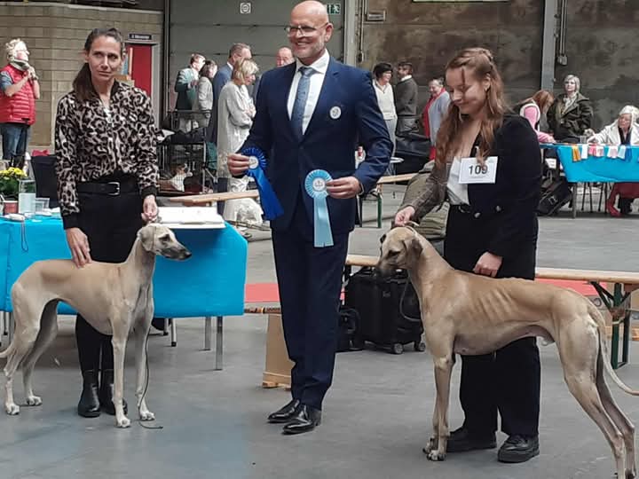 FB_IMG_1760895933816