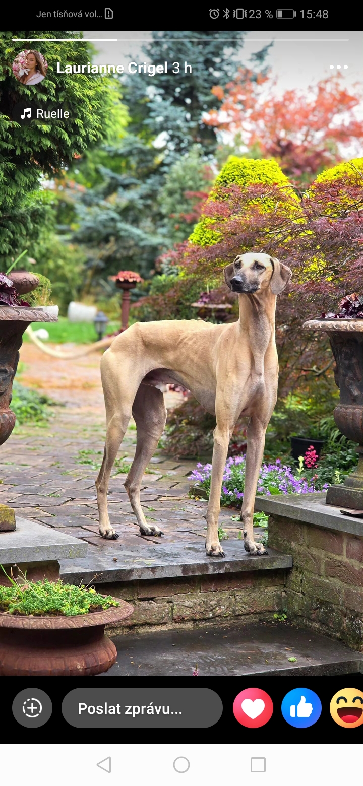 Screenshot_20251007_154837_com.facebook.katana