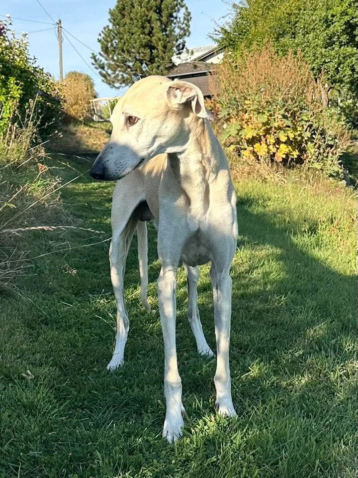 FB_IMG_1756830645152