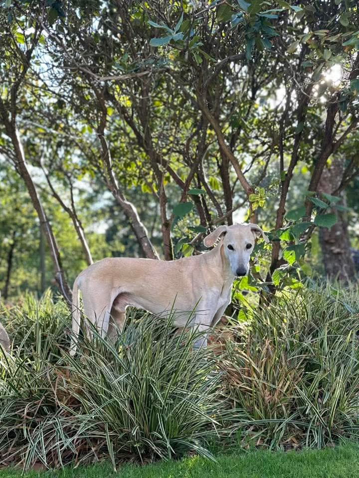 FB_IMG_1760102293869