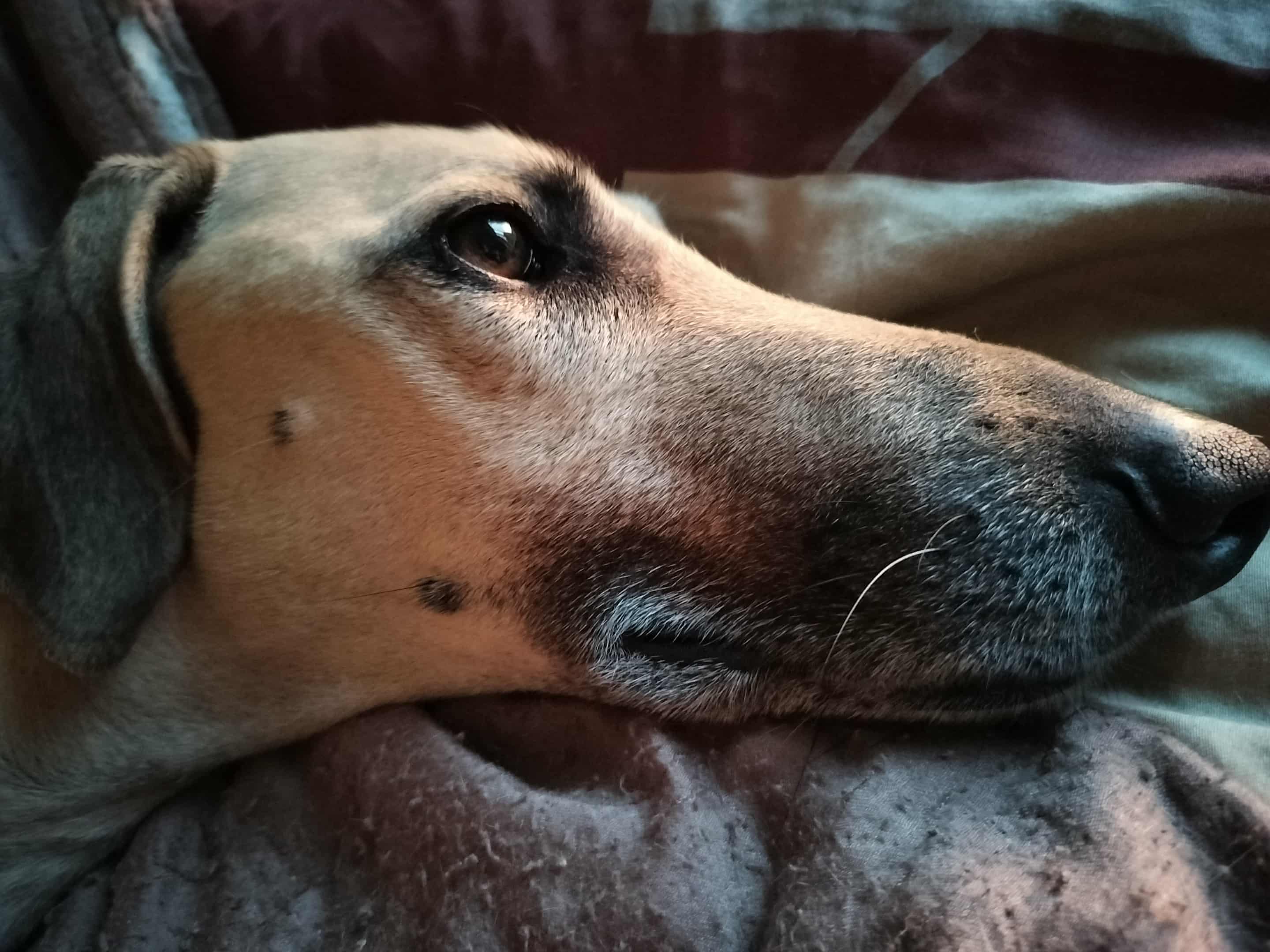 Messenger_creation_AACD2A7B-2759-4E0A-9881-92C6BE3A68EB