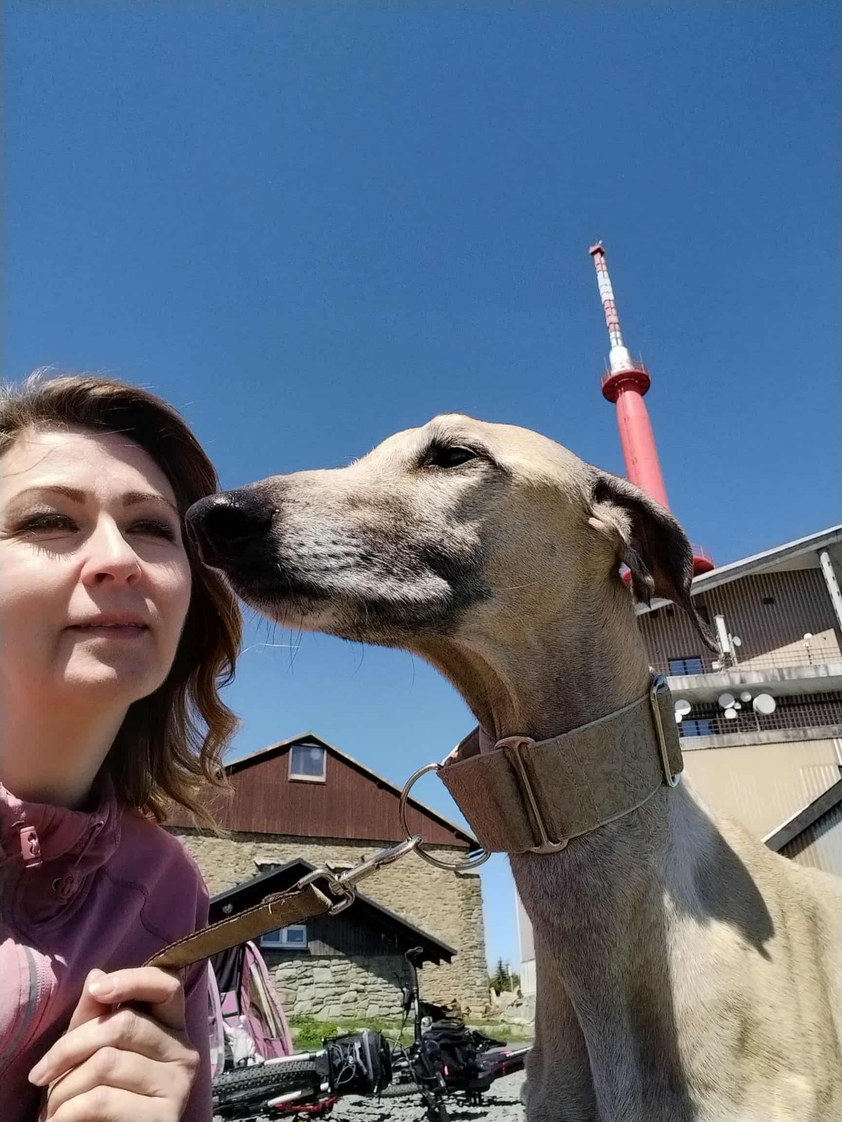 Messenger_creation_EED8FDFE-542F-4700-943C-3A7004BB8B33