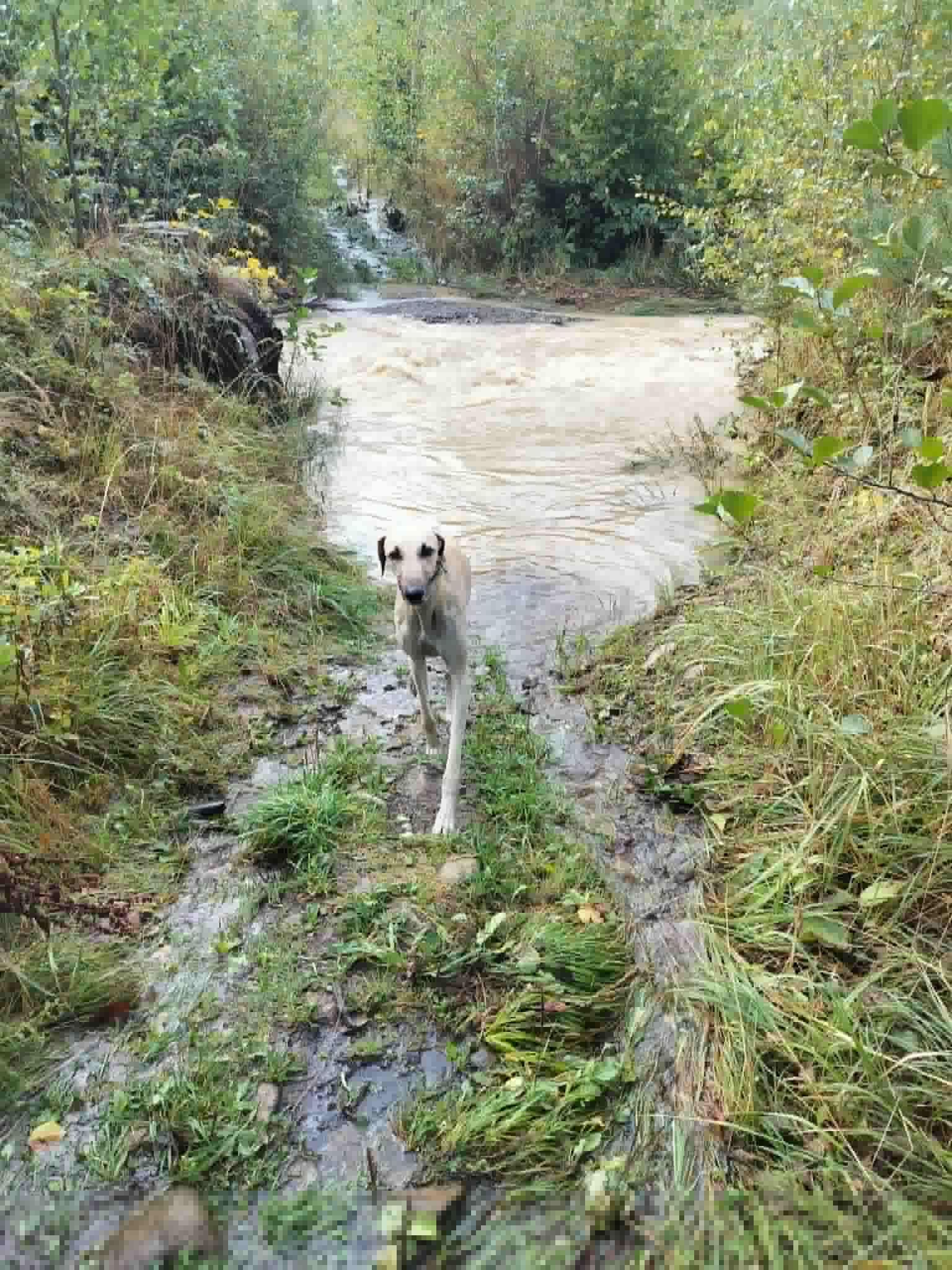 Messenger_creation_F1647FA3-C07C-425A-ADE7-74A385946297