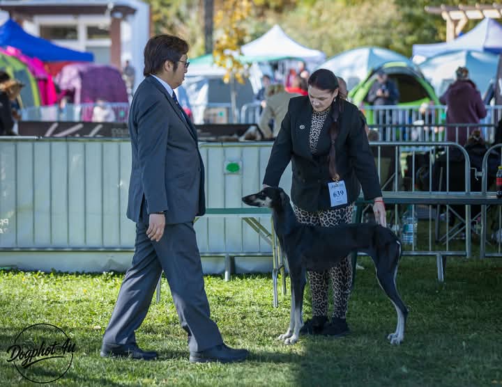 FB_IMG_1761567540011