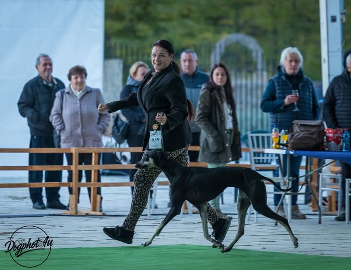 FB_IMG_1761567537439