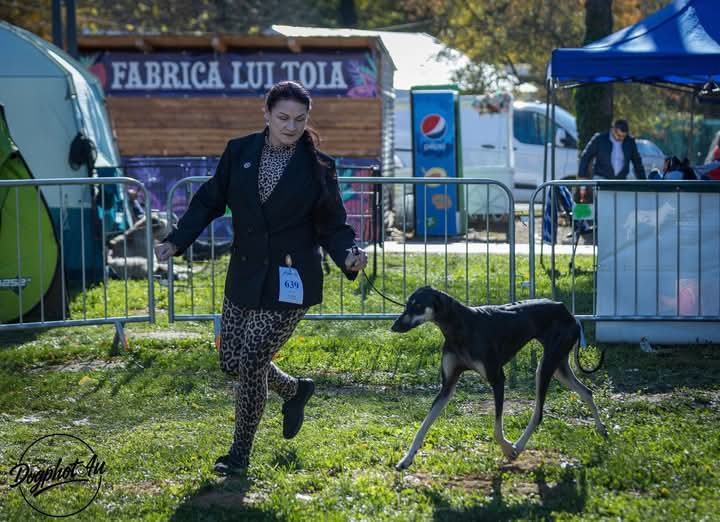 FB_IMG_1761567542369