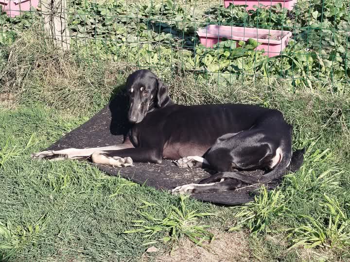 FB_IMG_1760726487895