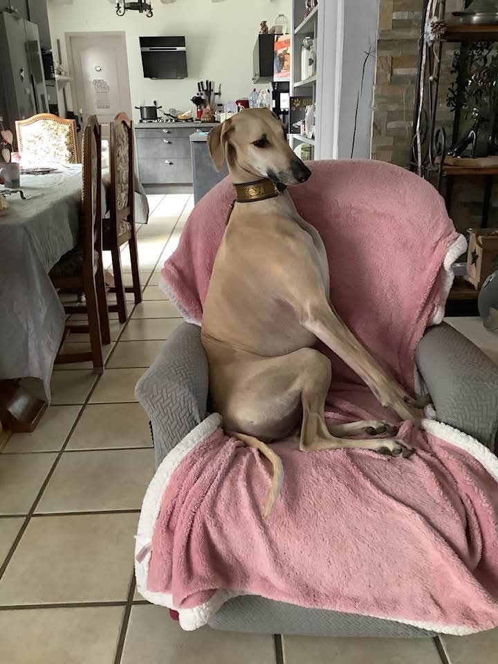 FB_IMG_1761406335110