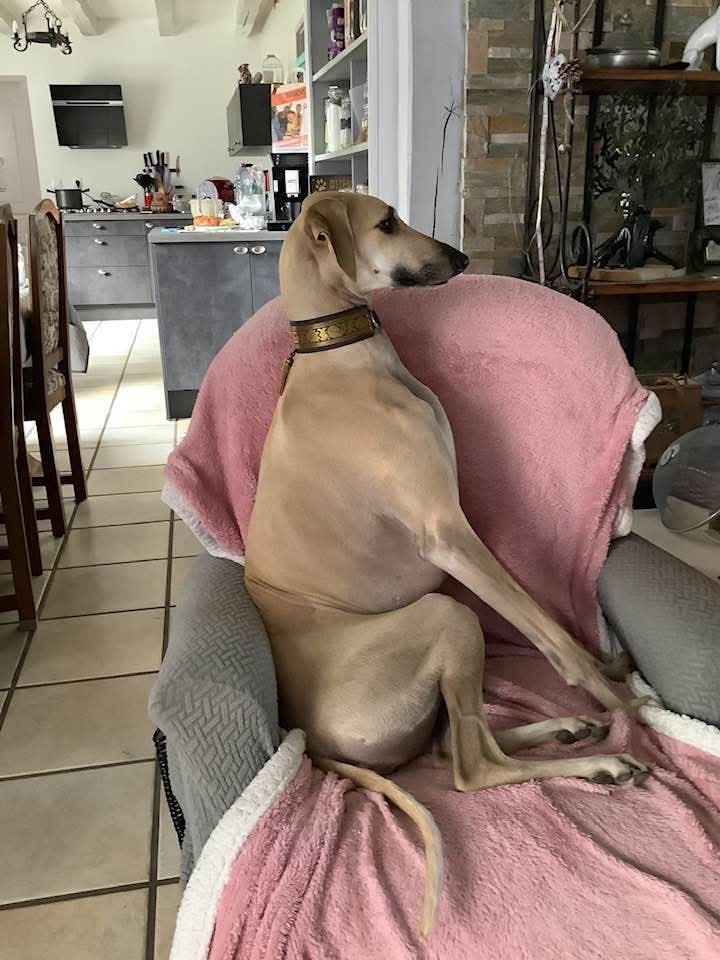 FB_IMG_1761406330928