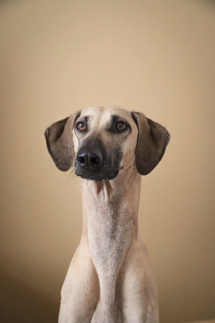 FB_IMG_1761497115916