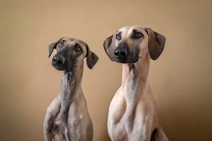 FB_IMG_1761497107059