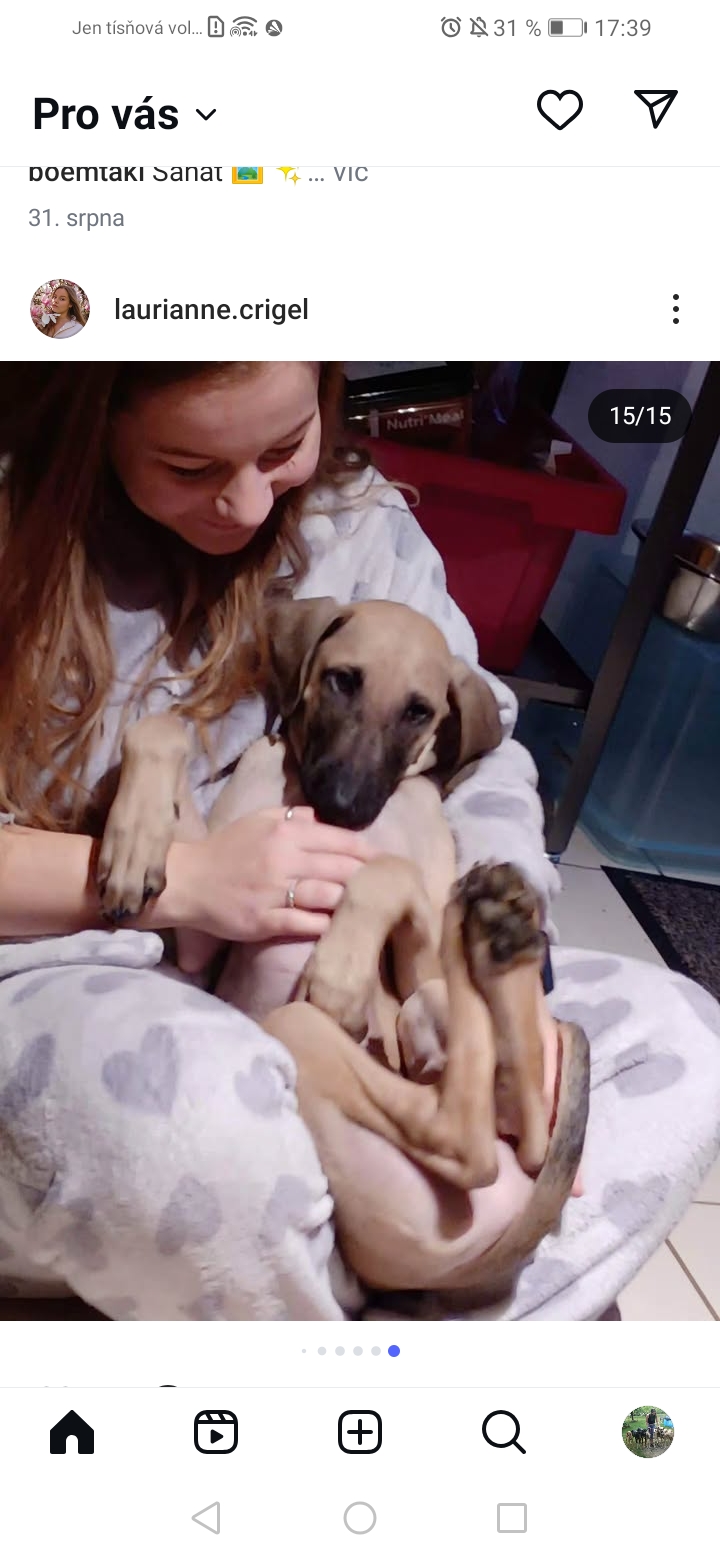 Screenshot_20251025_173950_com.instagram.android