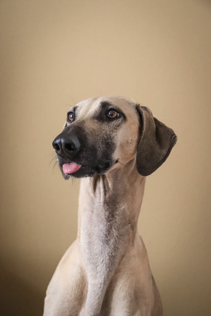 FB_IMG_1761497109999