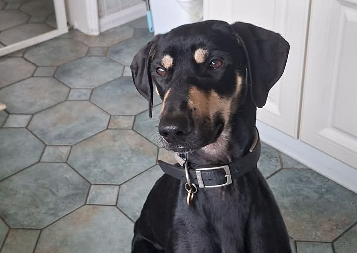 FB_IMG_1762030730250