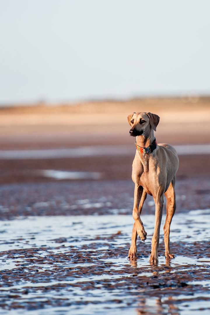 FB_IMG_1762030718550