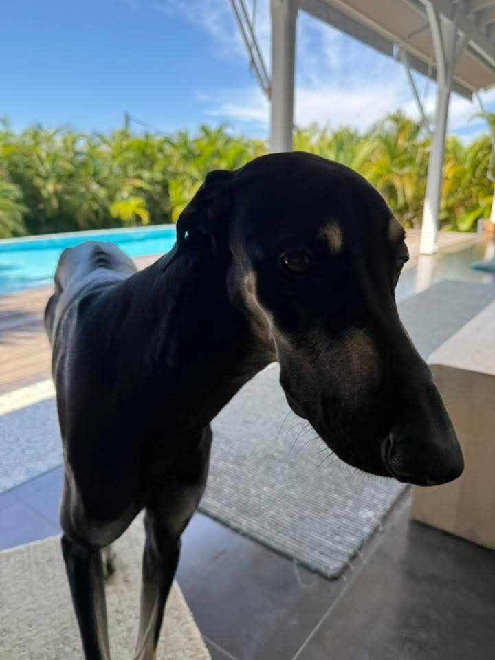 FB_IMG_1762054267146