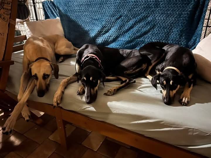 FB_IMG_1762031856146