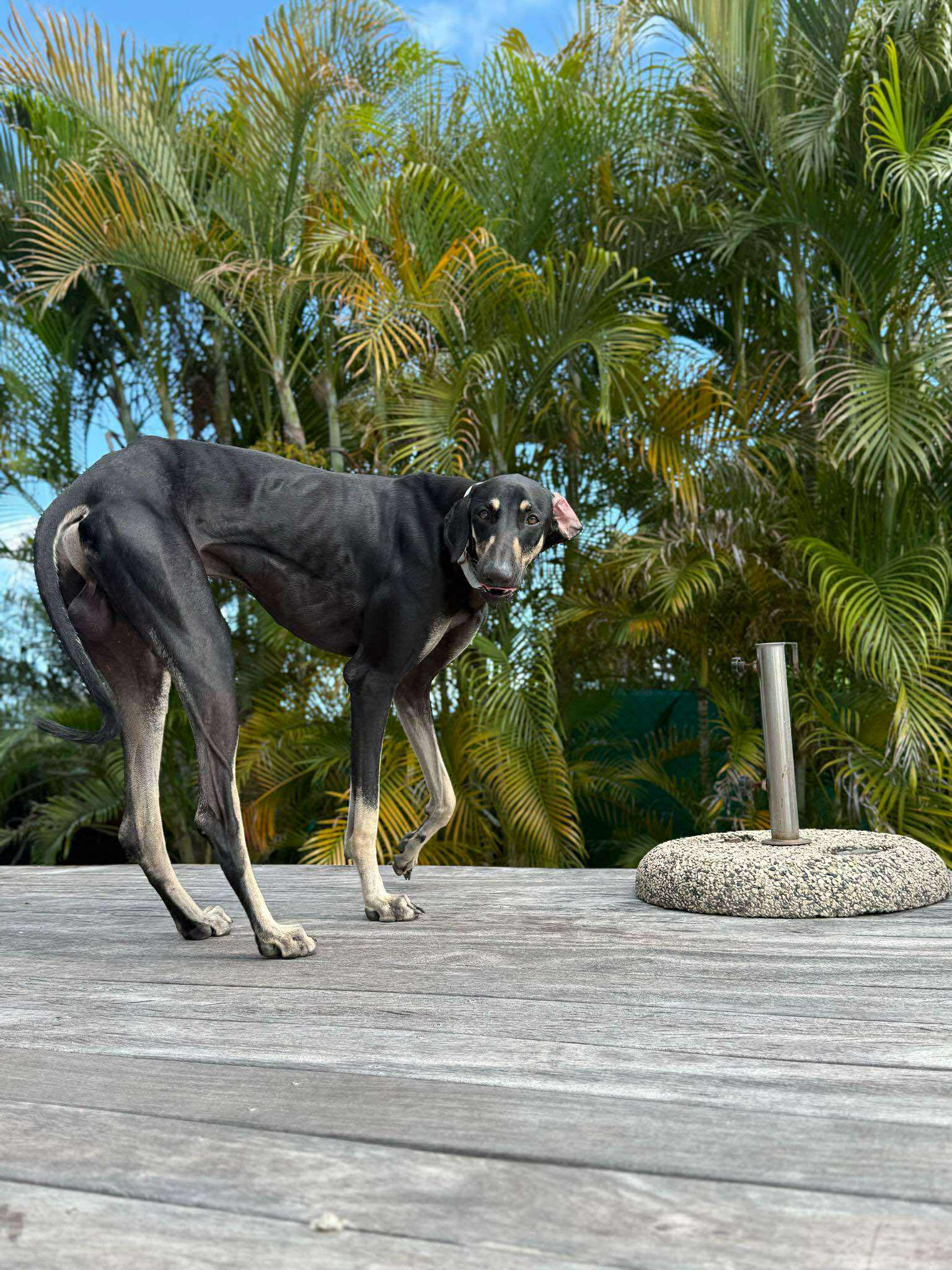 received_1499090894414106