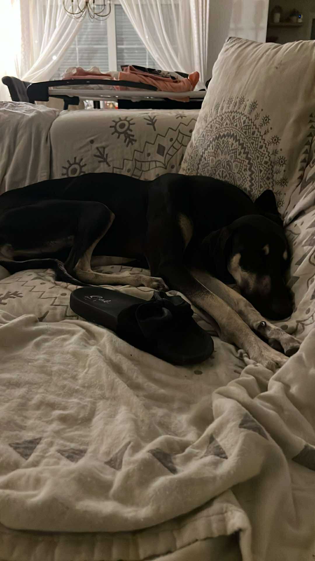 received_2138325616656349